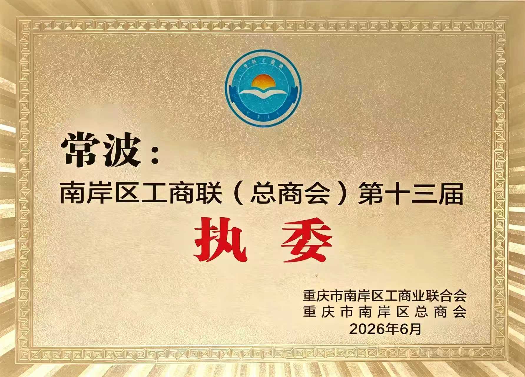 重庆市南岸区工商联（总商会）第十三届执委