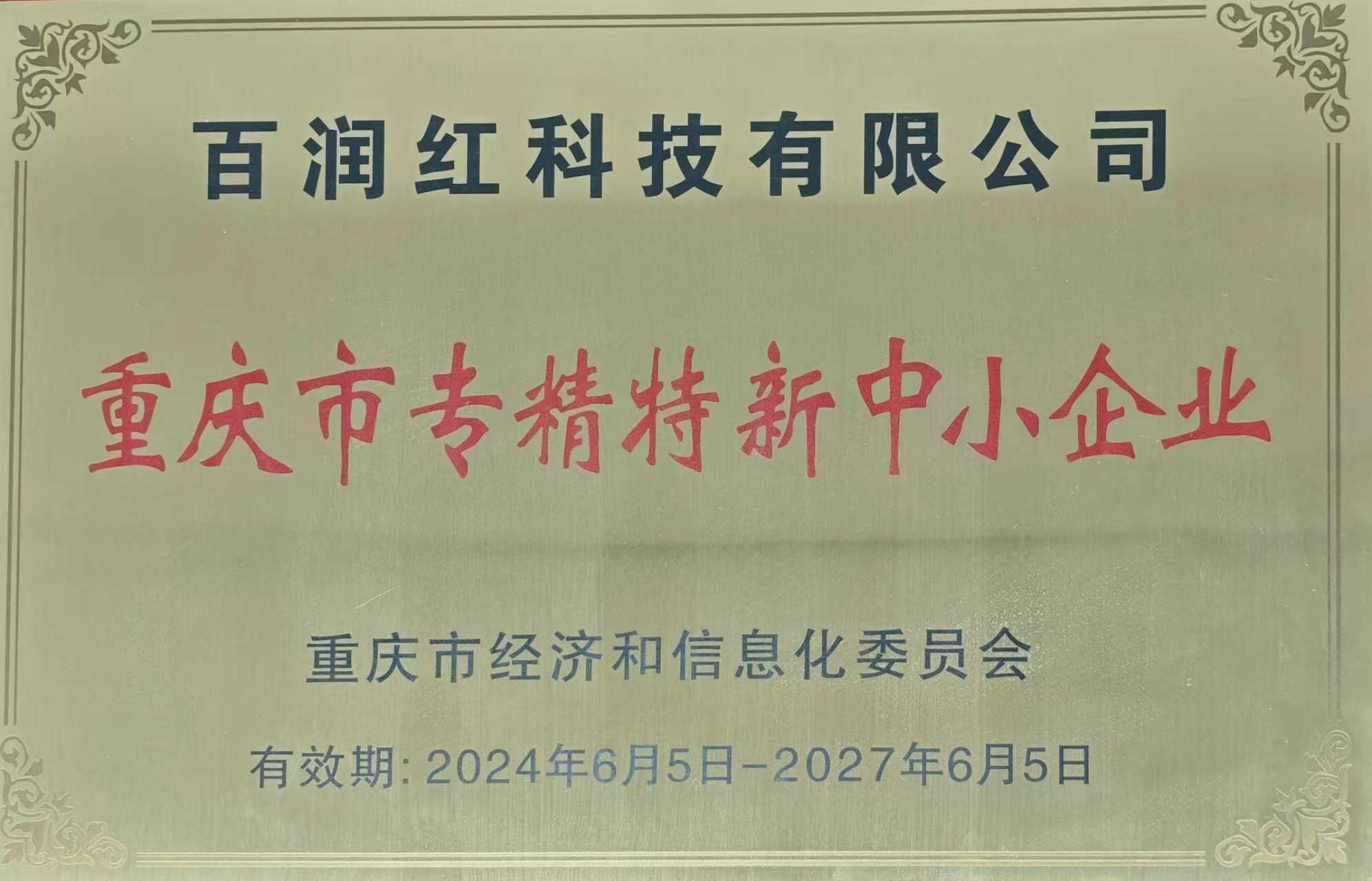 重庆市专精特新企业